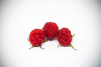 Close-up of red fruit over white background