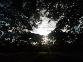 Silhouette trees in forest against sky