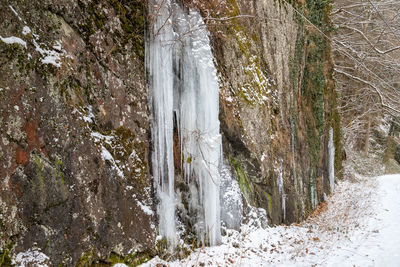 View of icicles on tree trunk during winter