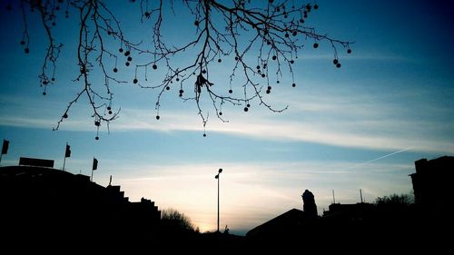 Low angle view of silhouette bare trees against sky at dusk