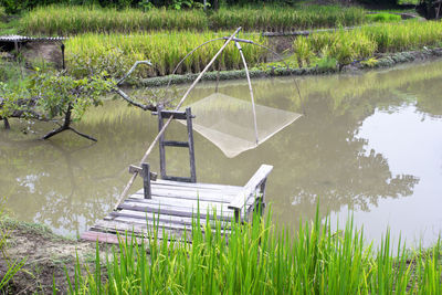 Scenic view of lake against plants