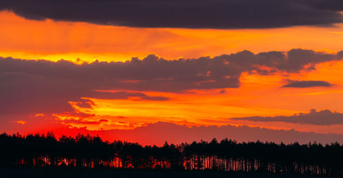 Silhouette trees against sky during sunset