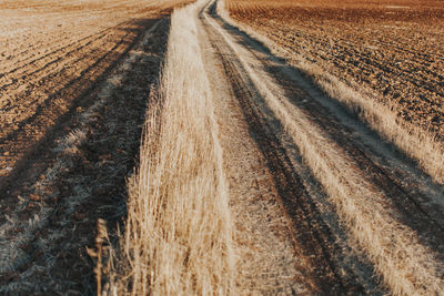 Tire tracks on agricultural field