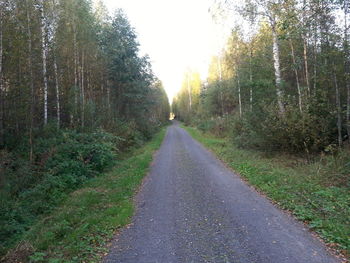 Road passing through trees