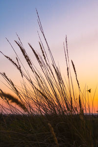 The end of a summer day