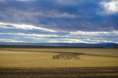 Scenic view of field against sky