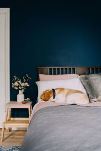 Beagle resting on bed in bedroom