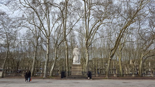 Rear view of people on bare trees