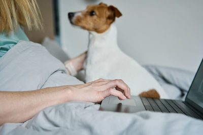 Woman with cute dog lying in bed and using laptop at morning