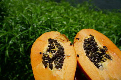 Close-up of orange slice