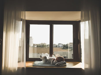 Baby boy lying on window seat at home