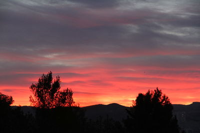 Silhouette trees against sky at sunset