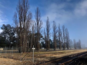 Bare trees by railroad tracks on field against sky