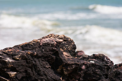 Close-up of rock by sea against sky