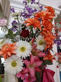 Close-up of flowers