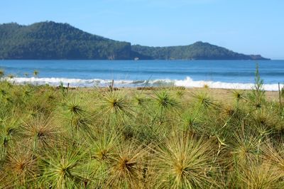 Scenic view of beach against sky