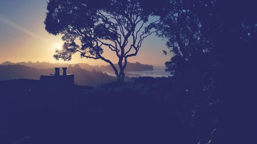 Silhouette tree against sky during sunset