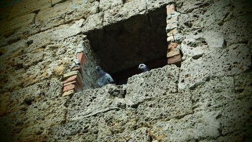 Shadow of man on stone wall