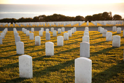 Row of cemetery headstones against sky during sunset