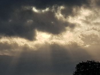 Low angle view of tree against cloudy sky