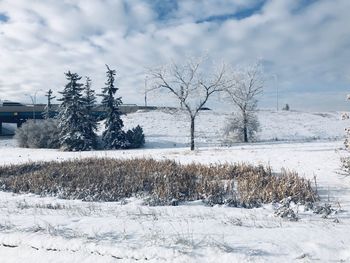 Bare trees on snow covered field against sky