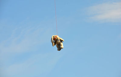 Teddy bear hanging from telephone line against sky