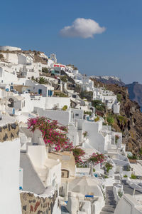 Santorini scenery with whitewashed houses, pink bougainvillea flowers, blue sky and one white cloud