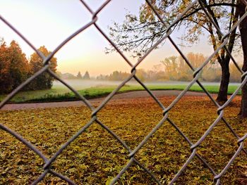 Fence on field