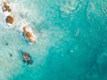 High angle view of swimming in sea