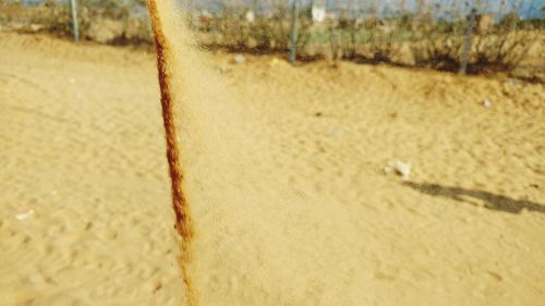 Close-up of sand