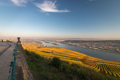 Panoramic view to rheingau, bingen and rheinhessen with coloring vineyard in autumn against blue sky