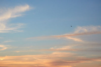 Low angle view of bird flying in sky