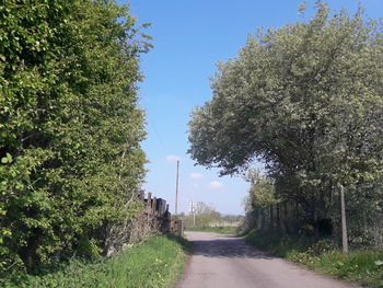 Empty road amidst trees against clear sky