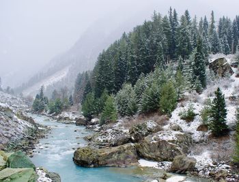 Scenic view of river amidst trees against sky