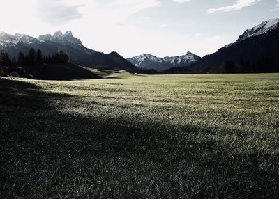 Scenic view of field against sky