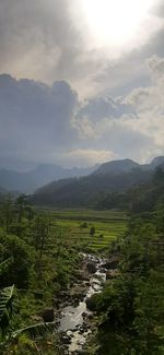 Scenic view of landscape against sky