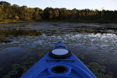 Close-up of water and trees against sky