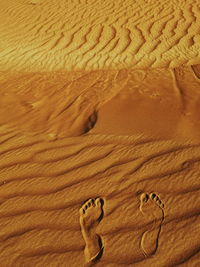 High angle view of sand dune