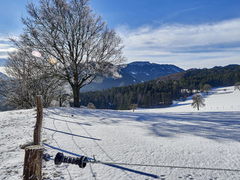 Bare tree on snow covered field against sky