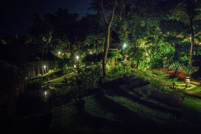 View of illuminated lights at night