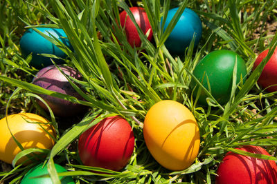 High angle view of multi colored eggs in grass