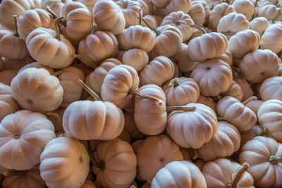 Full frame shot of pumpkins for sale at market