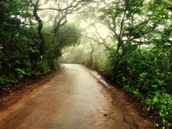 Empty road passing through forest