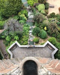 High angle view of plants by tree against building