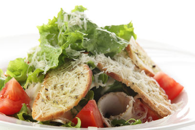 Close-up of food in plate against white background