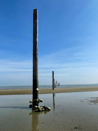 Wooden posts on beach against sky