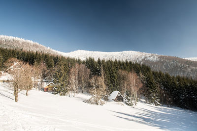 Snow covered land and trees against sky