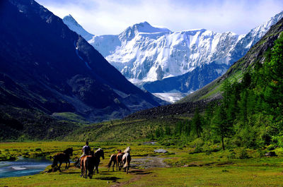 Horses and man on field against snowcapped mountains