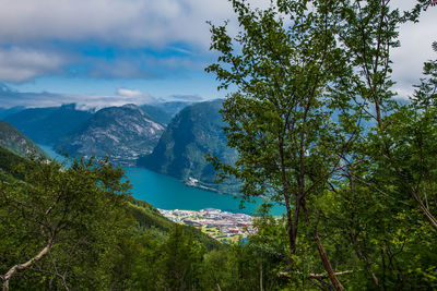 Scenic view of tree mountains against sky