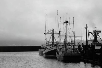 Sailboats moored at harbor